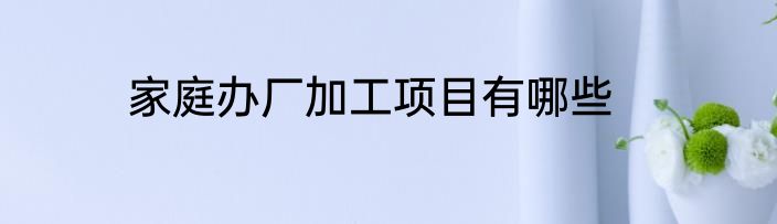 家庭办厂加工项目有哪些