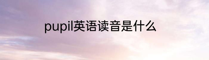 pupil英语读音是什么