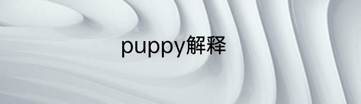 puppy解释