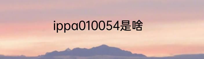 ippa010054是啥
