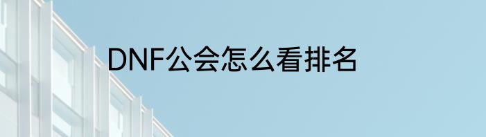 DNF公会怎么看排名