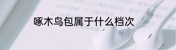 啄木鸟包属于什么档次