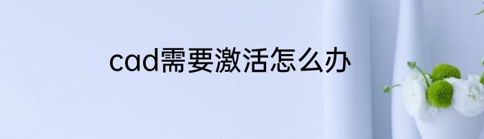 cad需要激活怎么办