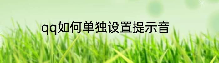 qq如何单独设置提示音