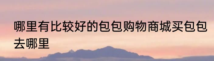 哪里有比较好的包包购物商城买包包去哪里