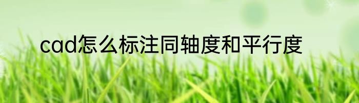 cad怎么标注同轴度和平行度