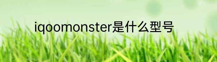iqoomonster是什么型号