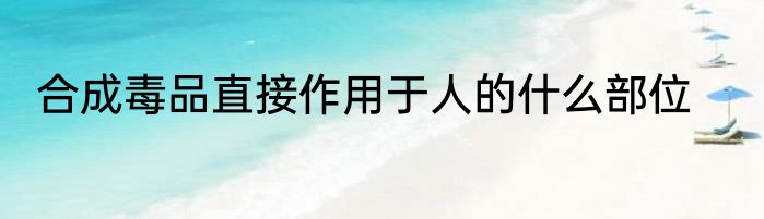 合成毒品直接作用于人的什么部位