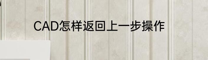 CAD怎样返回上一步操作
