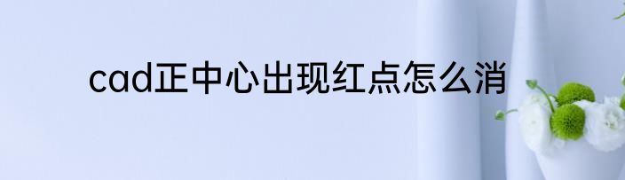 cad正中心出现红点怎么消