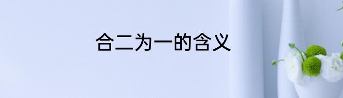 合二为一的含义