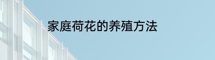 家庭荷花的养殖方法