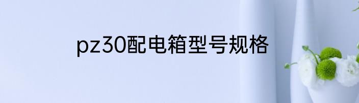 pz30配电箱型号规格
