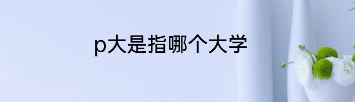 p大是指哪个大学