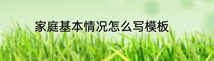 家庭基本情况怎么写模板
