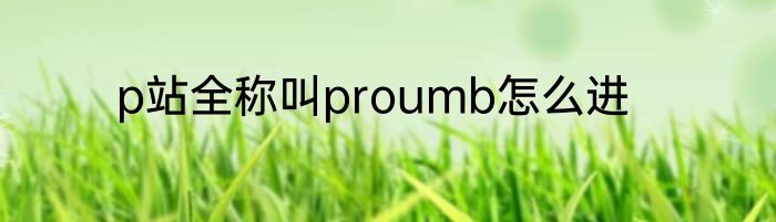p站全称叫proumb怎么进