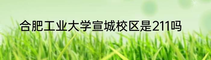 合肥工业大学宣城校区是211吗