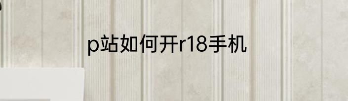 p站如何开r18手机
