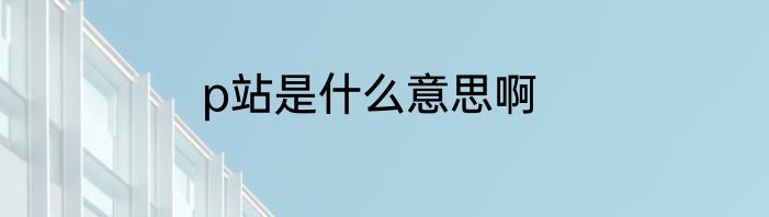 p站是什么意思啊