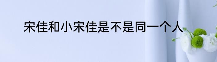 宋佳和小宋佳是不是同一个人