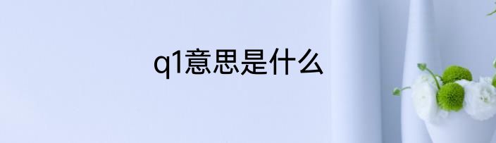 q1意思是什么