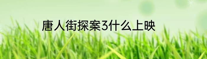 唐人街探案3什么上映