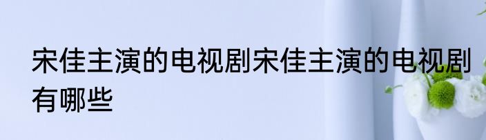 宋佳主演的电视剧宋佳主演的电视剧有哪些