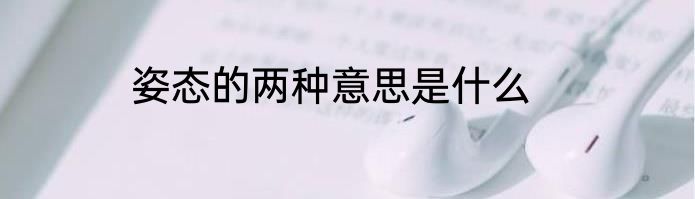 姿态的两种意思是什么