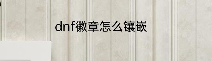 dnf徽章怎么镶嵌