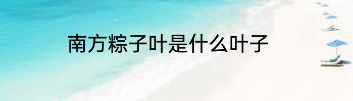 南方粽子叶是什么叶子
