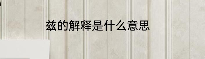 兹的解释是什么意思