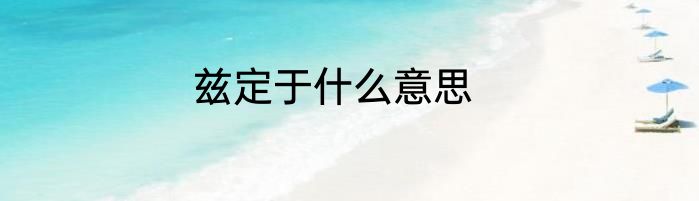 兹定于什么意思