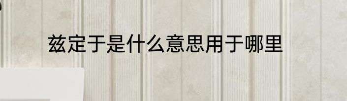 兹定于是什么意思用于哪里