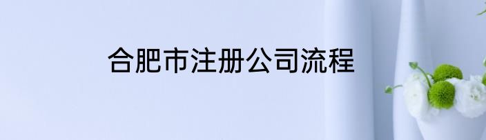 合肥市注册公司流程
