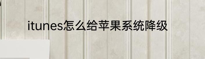 itunes怎么给苹果系统降级