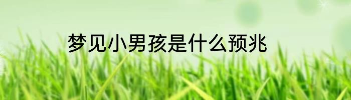 梦见小男孩是什么预兆