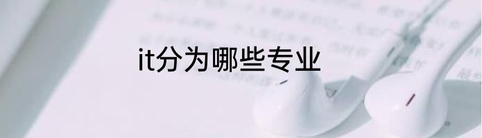 it分为哪些专业