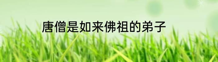唐僧是如来佛祖的弟子
