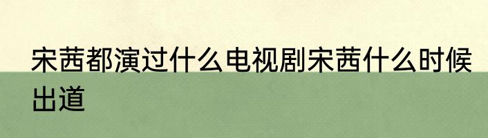 宋茜都演过什么电视剧宋茜什么时候出道