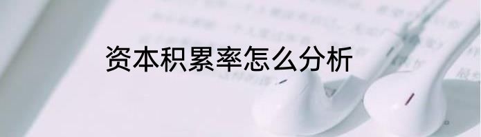 资本积累率怎么分析