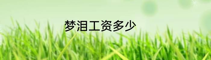 梦泪工资多少