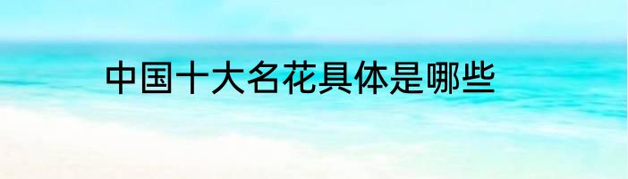 中国十大名花具体是哪些