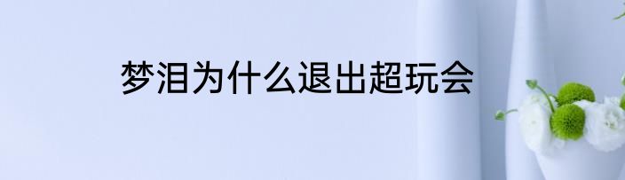 梦泪为什么退出超玩会