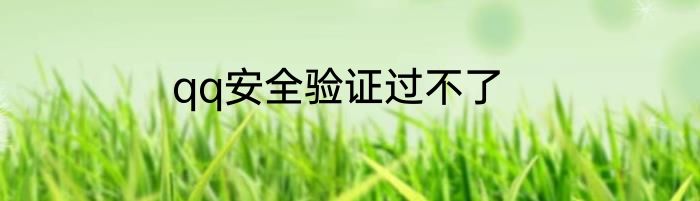 qq安全验证过不了