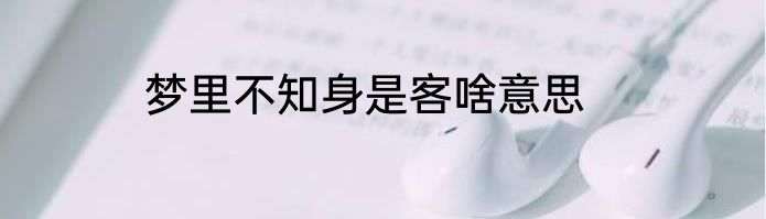 梦里不知身是客啥意思