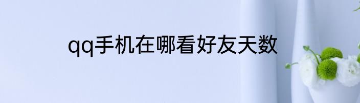 qq手机在哪看好友天数
