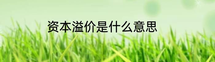资本溢价是什么意思