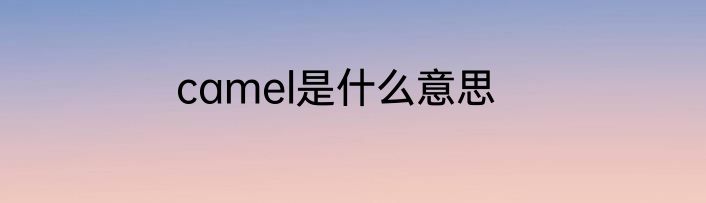 camel是什么意思