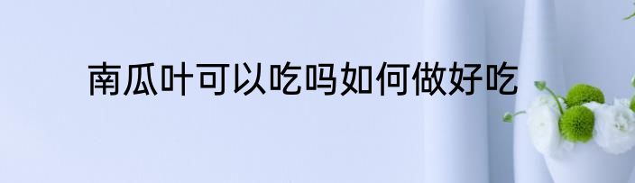 南瓜叶可以吃吗如何做好吃