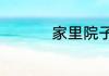 家里院子栽铁树怎么样